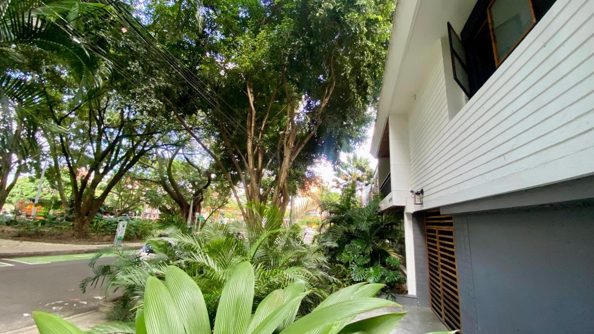 Casa Mosaiko Primer Parque Laureles Medellín Exteriér fotografie